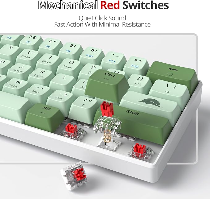 61 Matcha/Red Switch