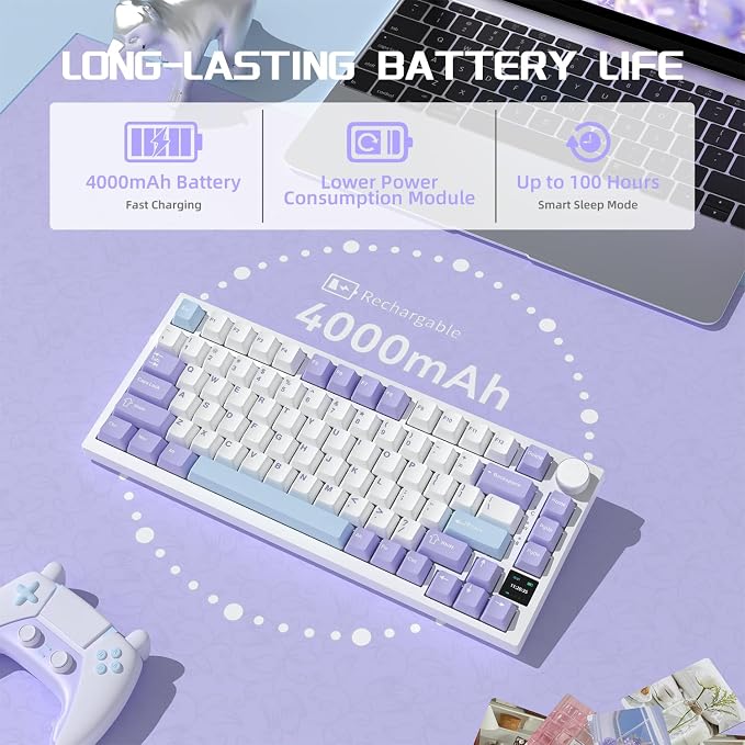 purple white blue/gift switches