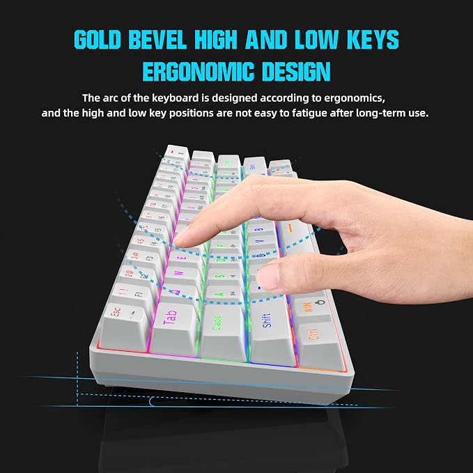 White/Blue Switch