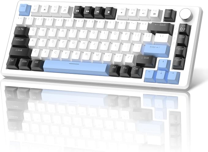 White & Blue - Brown Switch