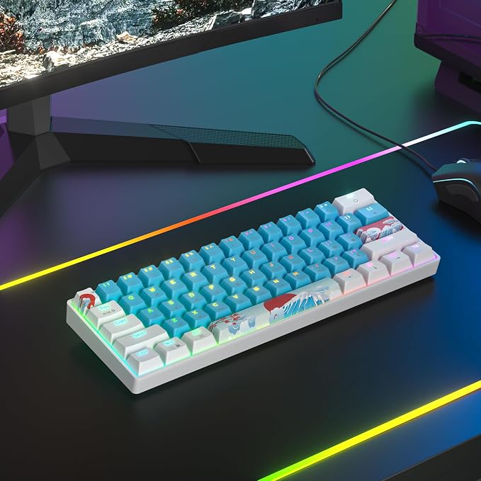 61 Blue/Blue Switch