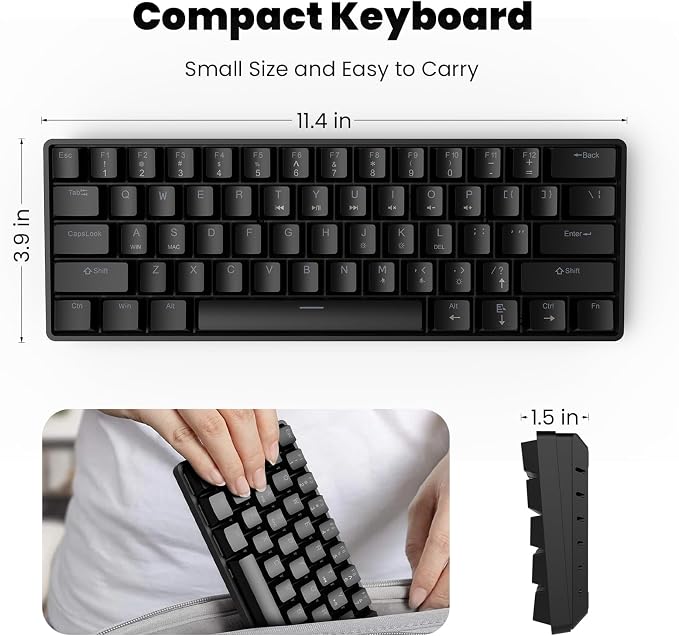 Black+Mouse