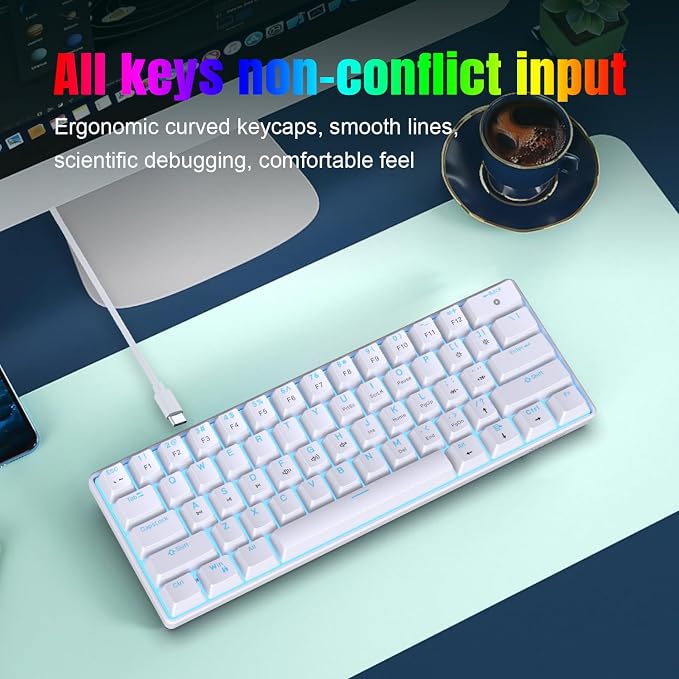 White(Ice Blue Light)/Blue Switch