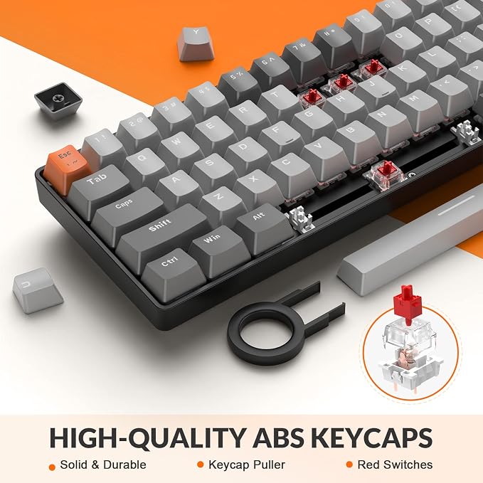 Light Grey/Red Switch