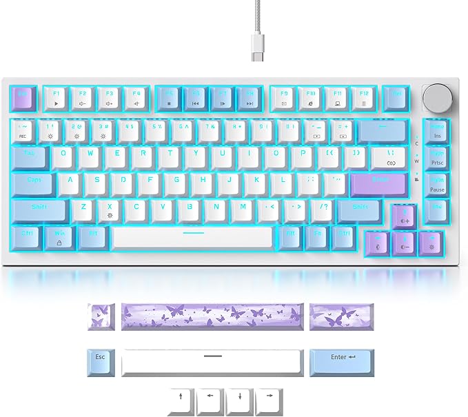 PurpleWhite-RedSwitch