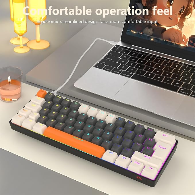 Dark Gray/Blue Switch