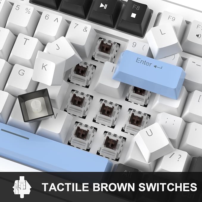 White & Blue - Brown Switch