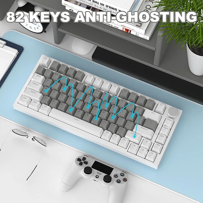 Grey White (HP Switch)