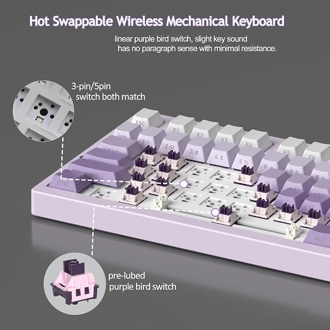 White Purple/Purple Bird Switch