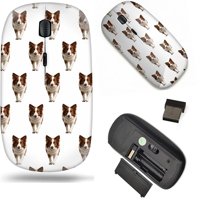 Border Collie MD9744