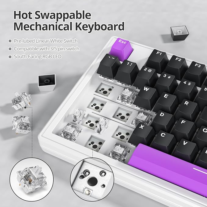 R-Purple/White