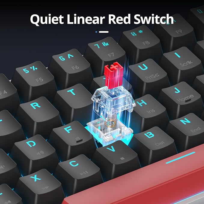 61 White & Black/Red Switch