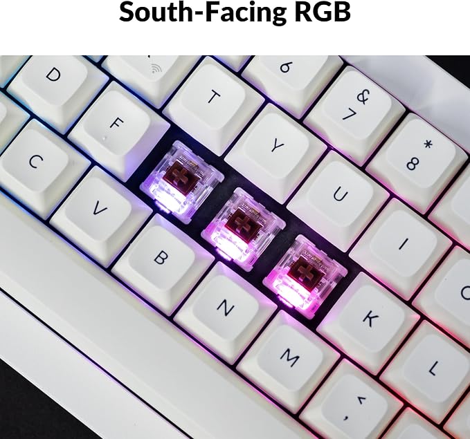 Gateron Jupiter Brown Switch-White