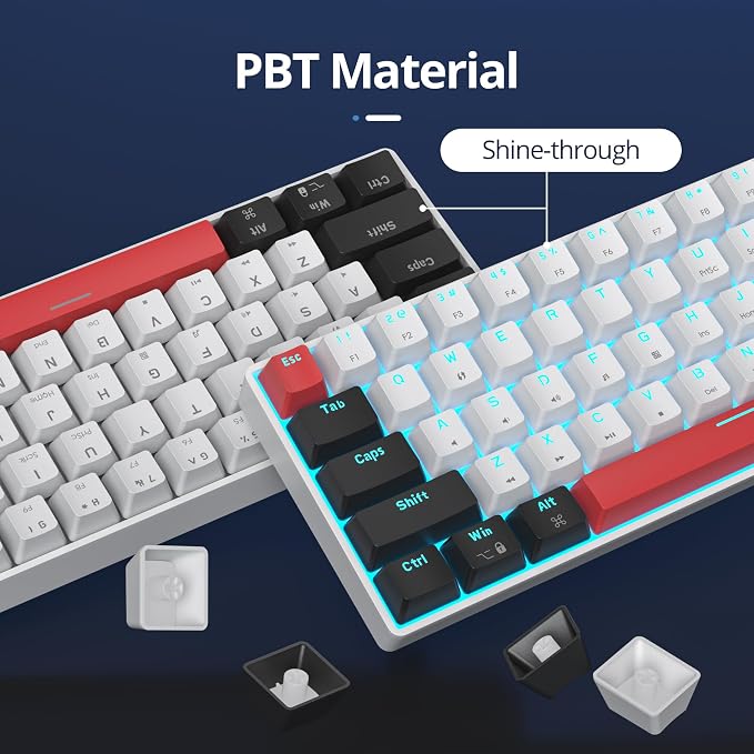 61 Black & White/Red Switch
