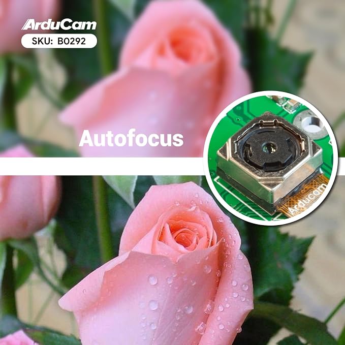 Auto Focus