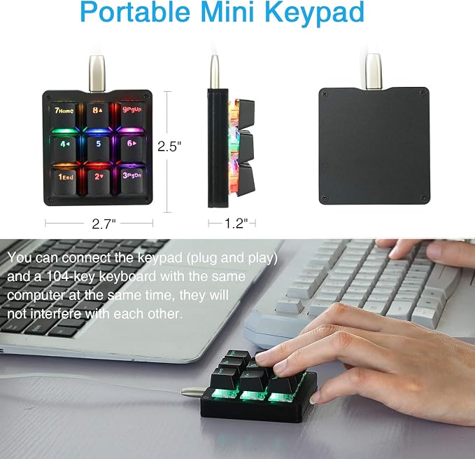 Black/Blue Switches