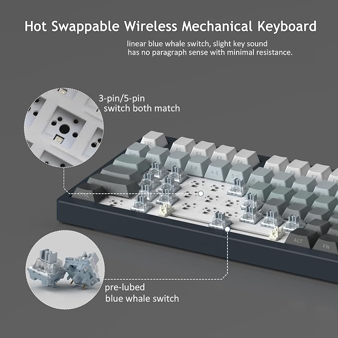 Black/Blue Whale Switch
