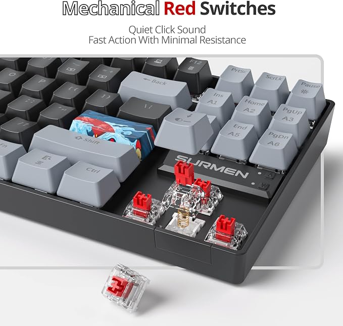 Dark/ 87 Red Switch
