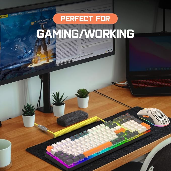 Shimmer-Red Switch&Mouse