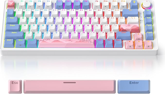 82 Pink/Pink Switch