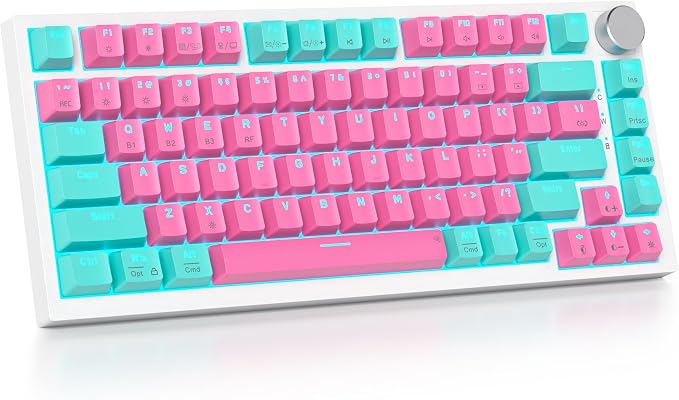 Miami/GrayCreamSwitch