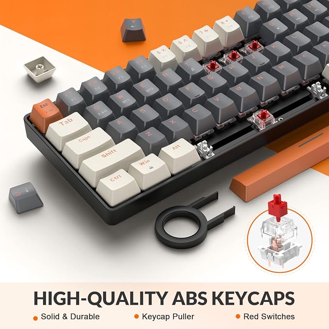 Grey & Orange/Red Switch