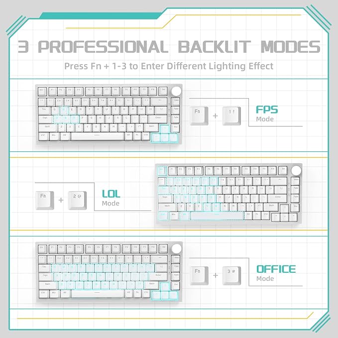 white/blue switches