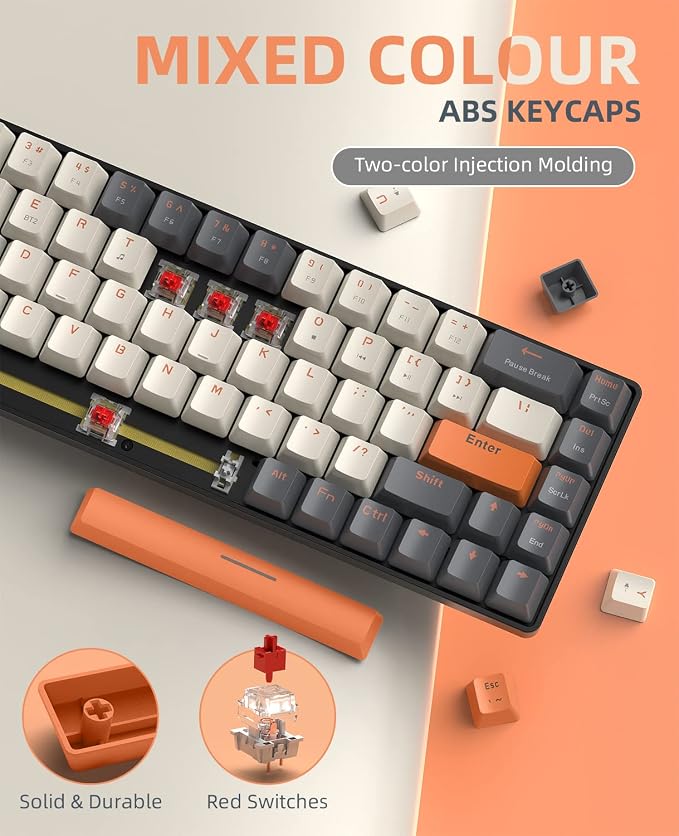 white & Orange/Red Switch