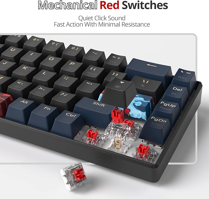 68 Blue/red swicth