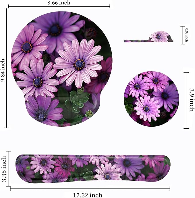 African Daisy