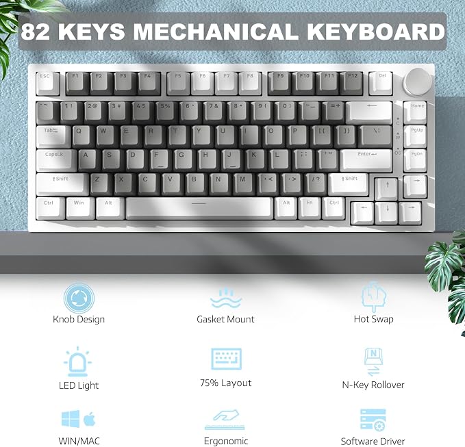 Grey White (HP Switch)