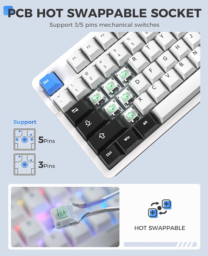 White Blue