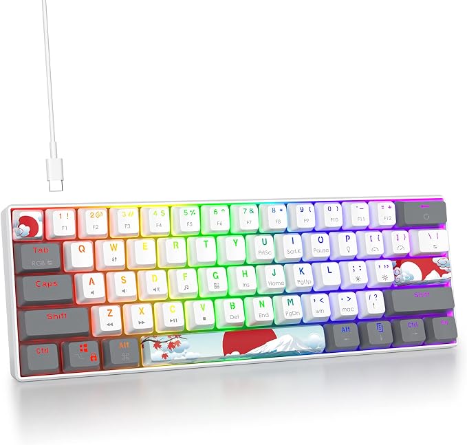 61 white/Red Swicth