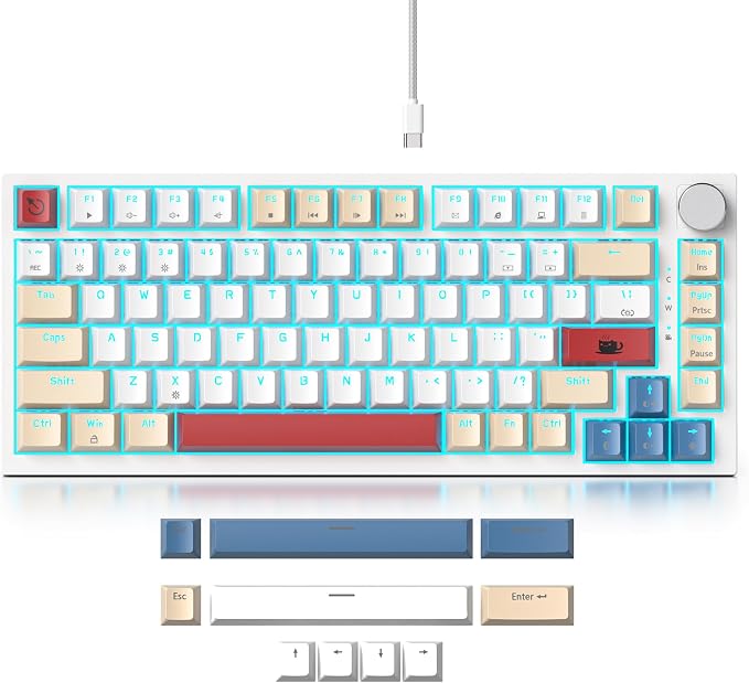 YellowWhite-RedSwitch