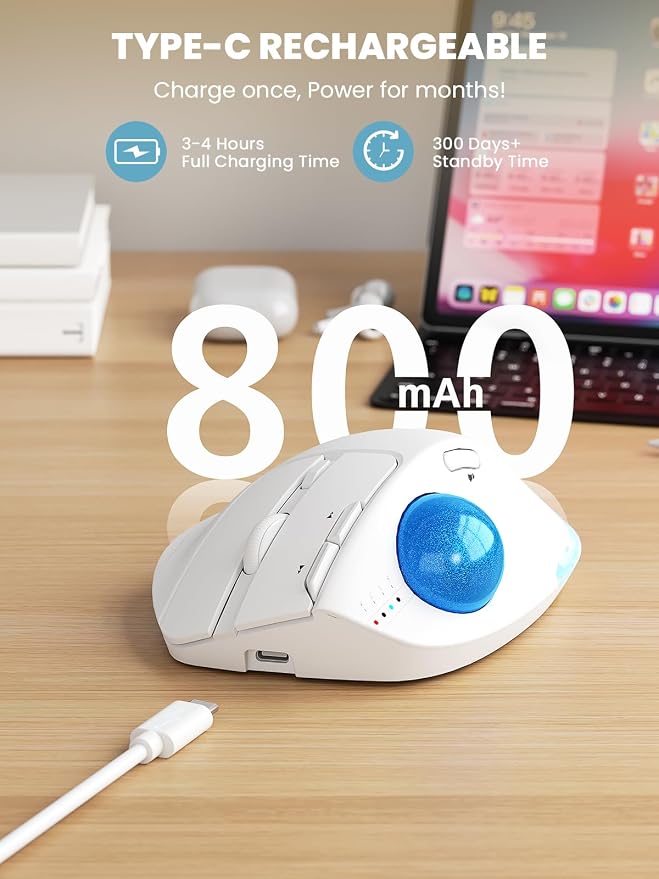 White Mouse