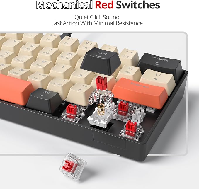 61 carbon/Red Swicth