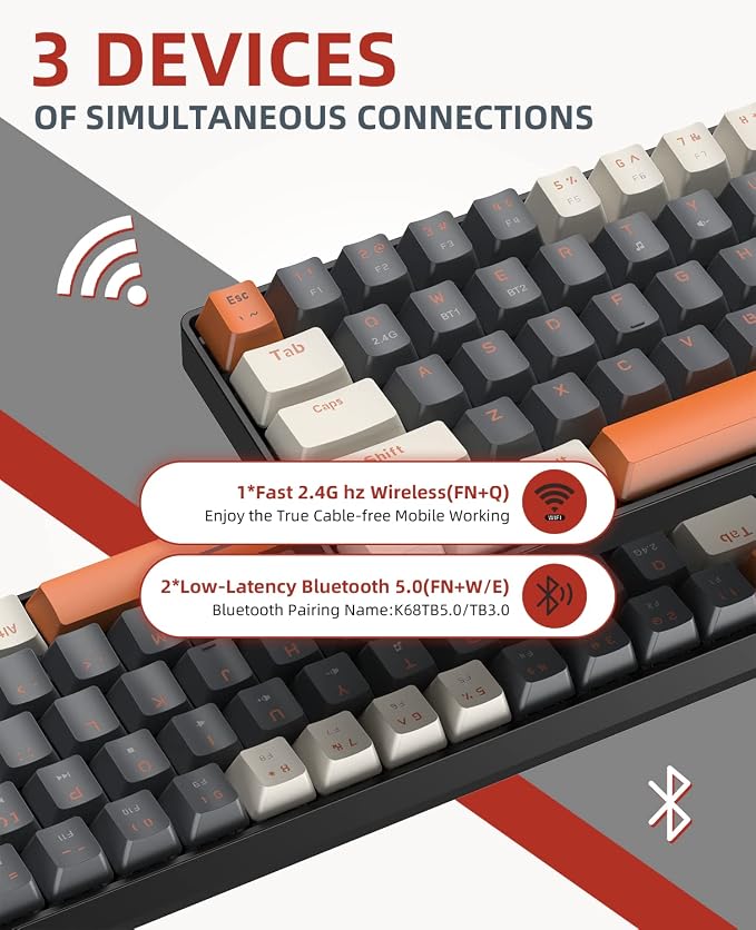 Grey & Orange/Blue Switch