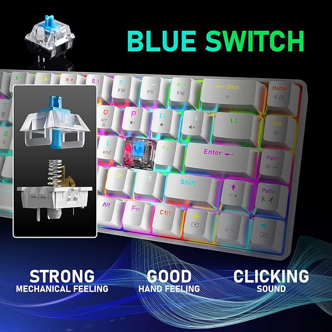 white/blue switch