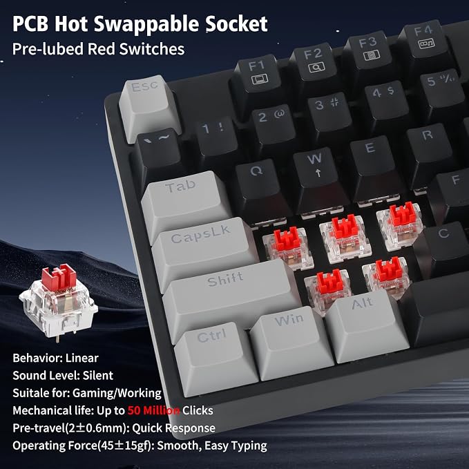 Black&Grey, Red Switch