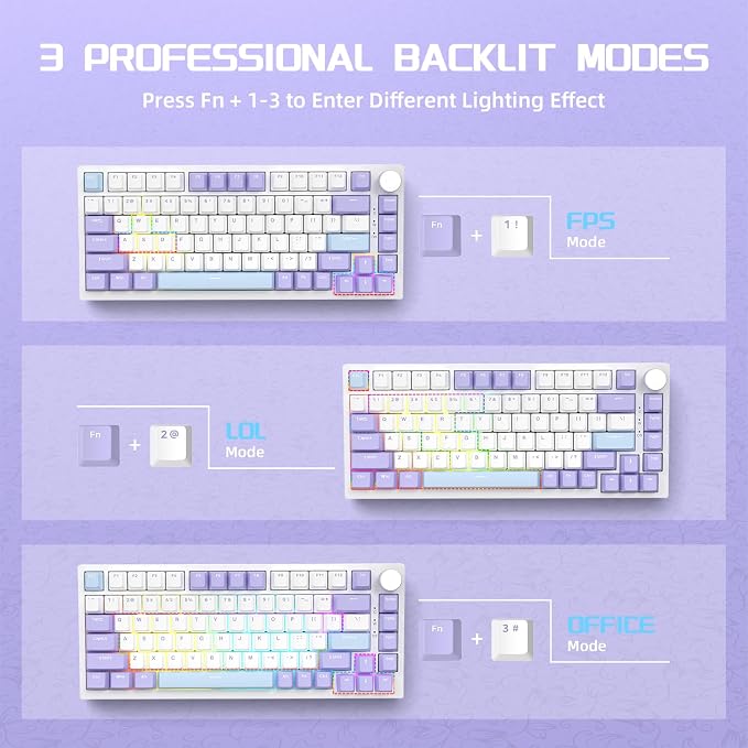 blue white purple/sea salt switches