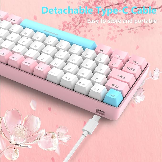 Pink/Blue Switch