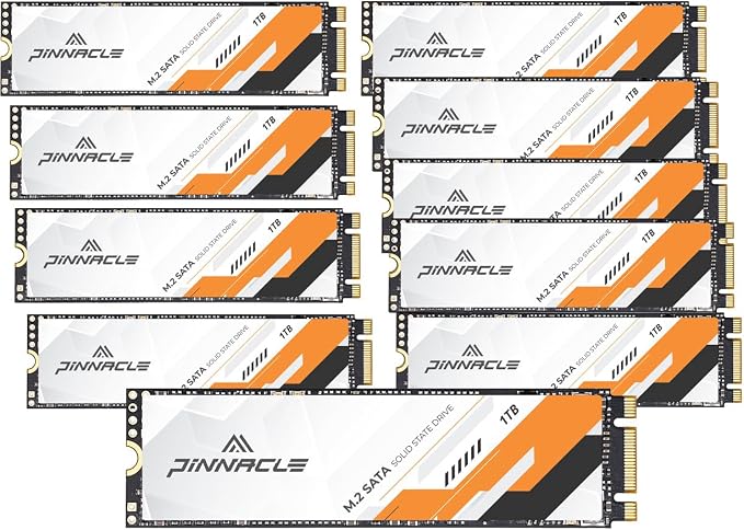 Pinnacle 1TB (10 pack)