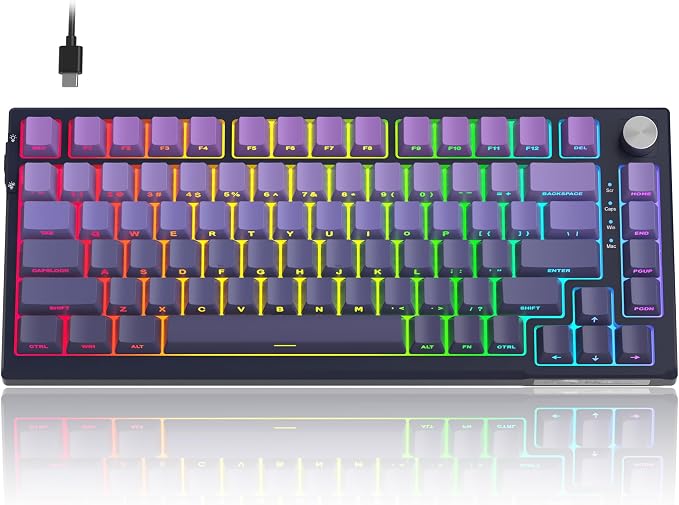 Dark Purple / Blue Whale Switch
