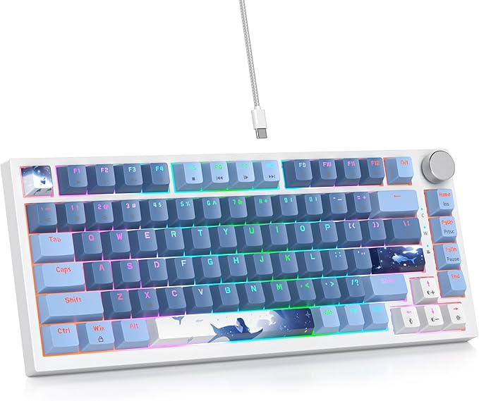 Fog Blue /Red Switch
