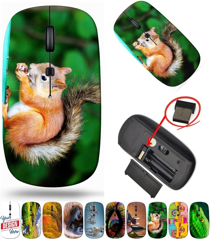 BYADAUaMqA_SQUIRREL EATING A DE_375