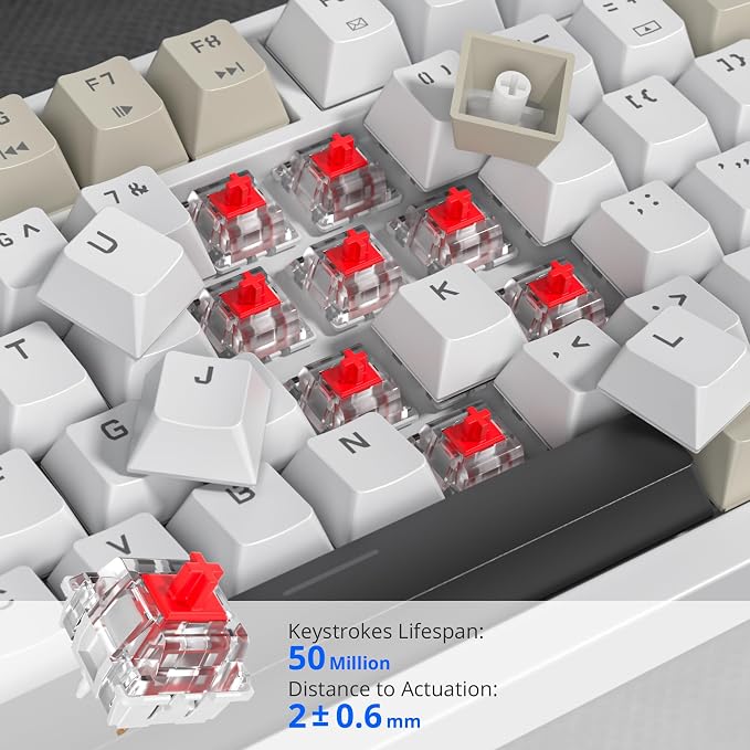 82 Black Grey/Red Switch