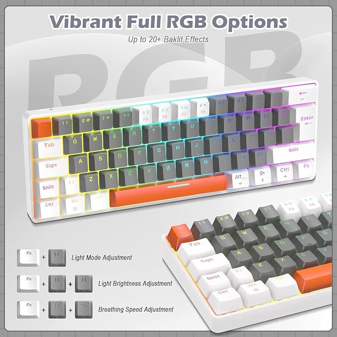 Light Gray/Red Switch