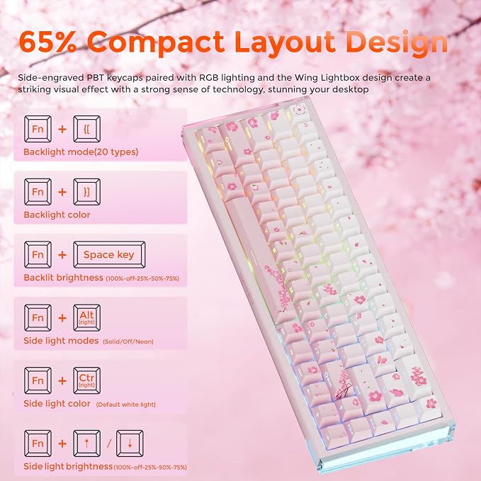 Sakura Pink