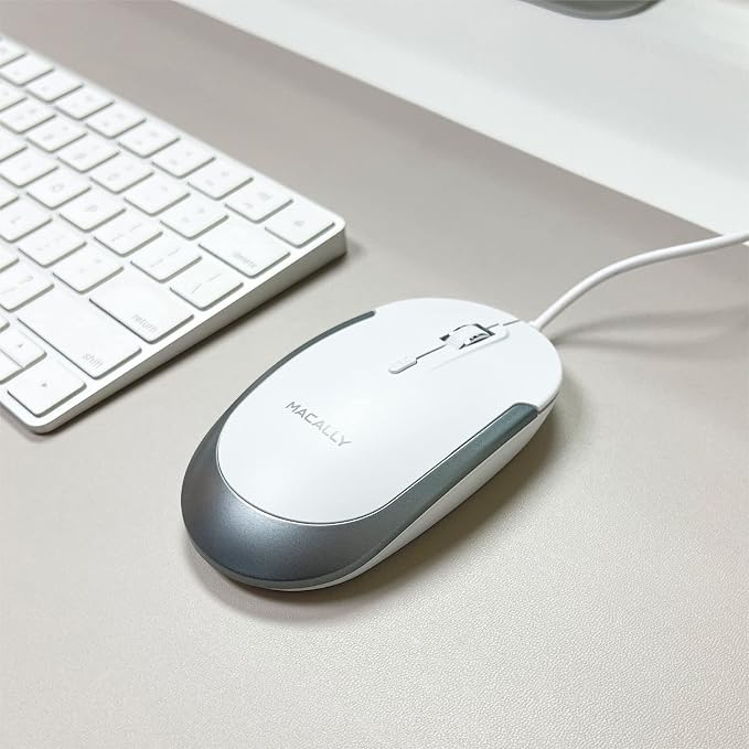 White with Silver Trim