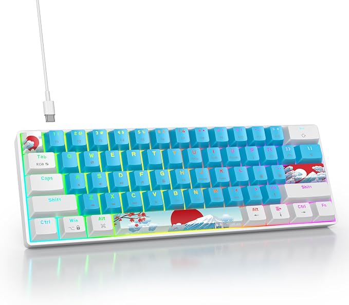61 Blue/Blue Switch